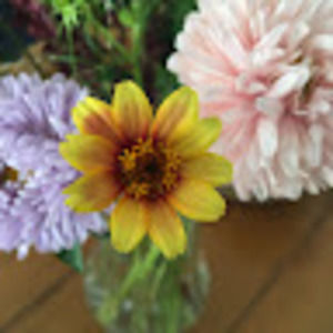 Meet your Posher, Audrey